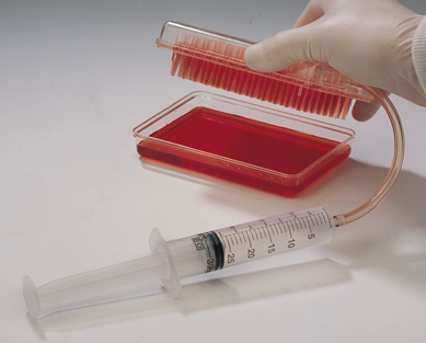 Caviar Box Cocina Molecular M&eacute;xico